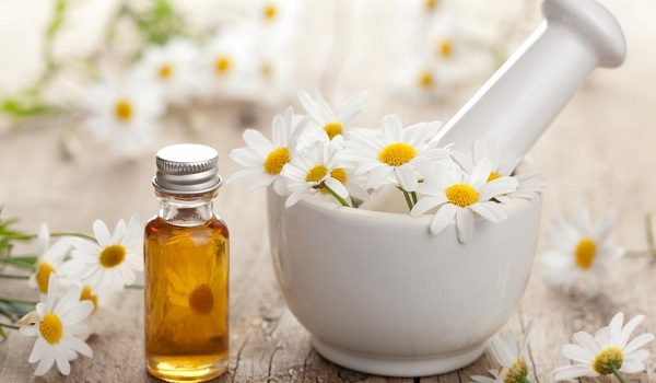 Image result for beautiful photos of chamomile and healing essential oils
