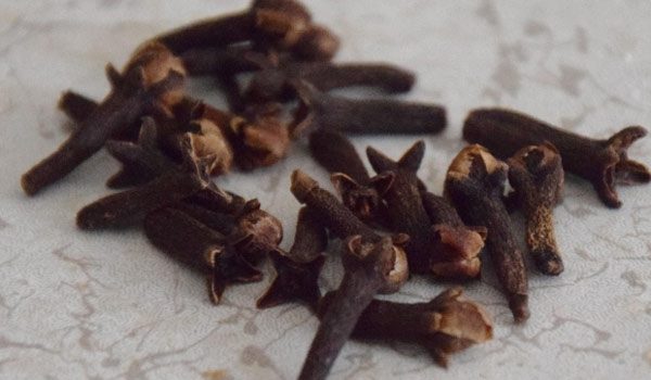 20 Proven Benefits Of Clove For A Healthier Body