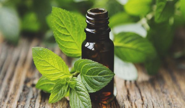 Heal Thyself: 11 Uses and Benefits Of The Magical Peppermint Essential Oil