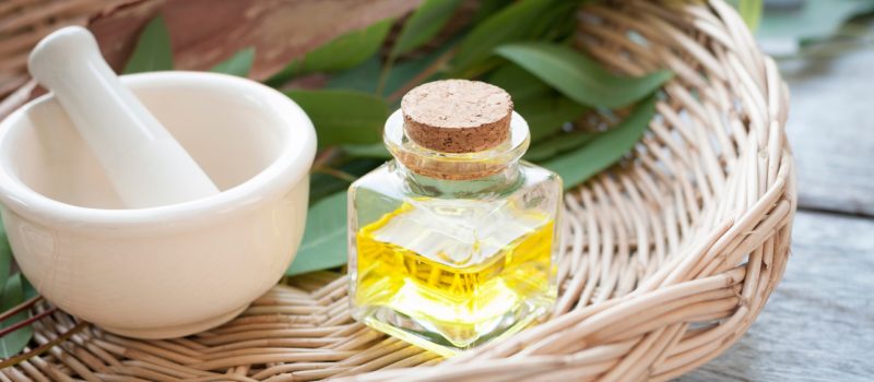 Benefits of using Eucalyptus Oil for hair
