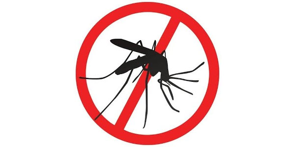 How To Use Lemongrass Oil For Mosquitoes
